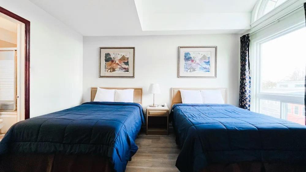 Commons Inn Halifax Dış mekan fotoğraf